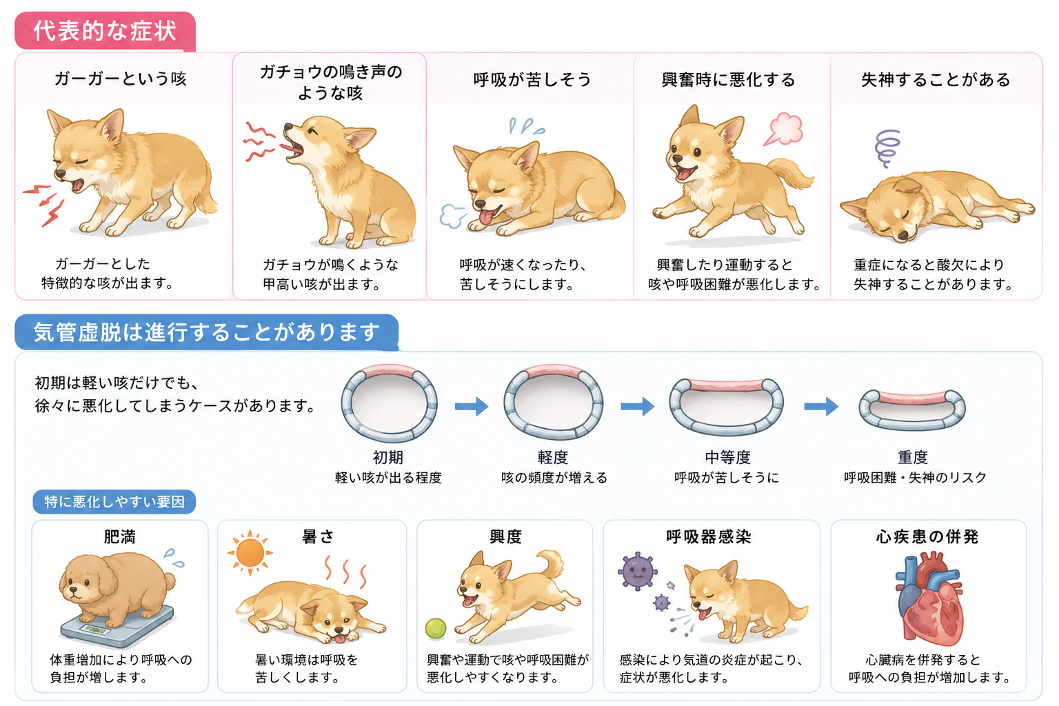 気管虚脱グレード