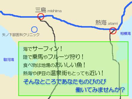 採用情報