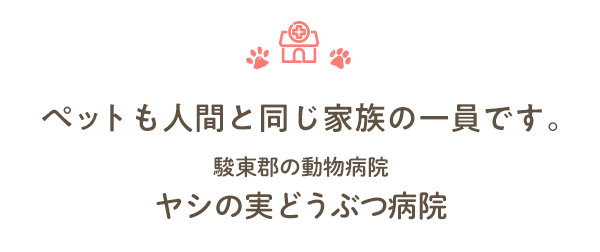 ペットも人間と同じ家族の一員です。